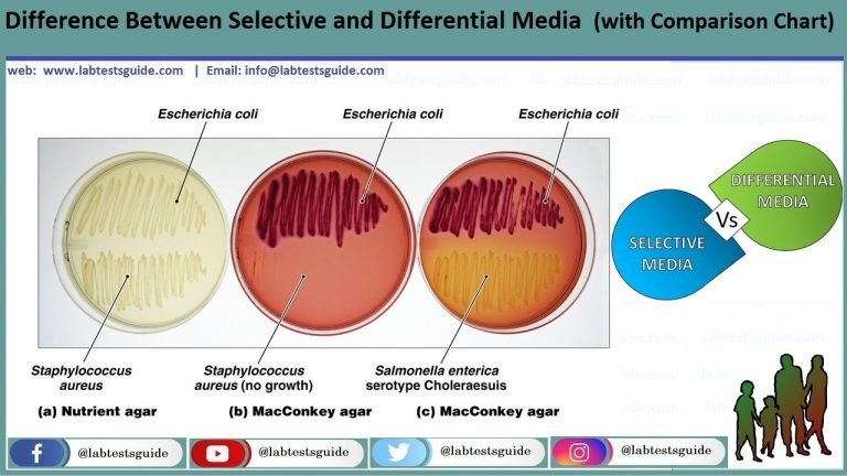 Difference Between Selective And Differential Media With Comparison