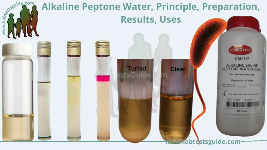Alkaline Peptone Water