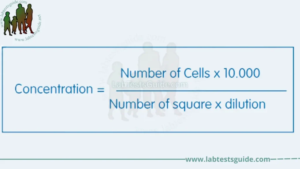 Cell Counting Calculations