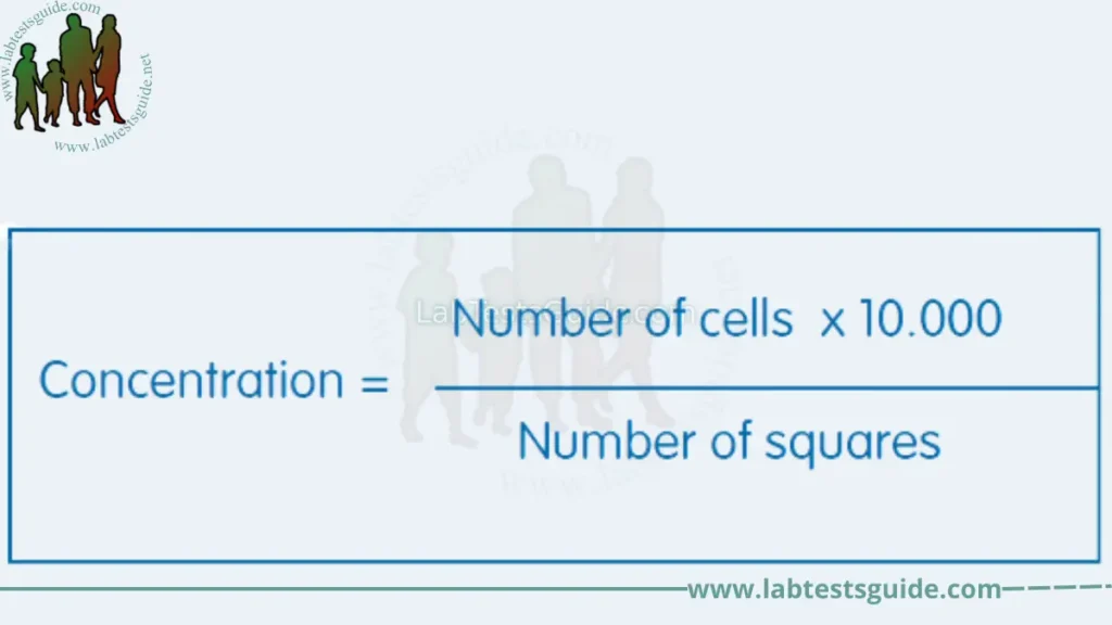 Cell Counting Calculations