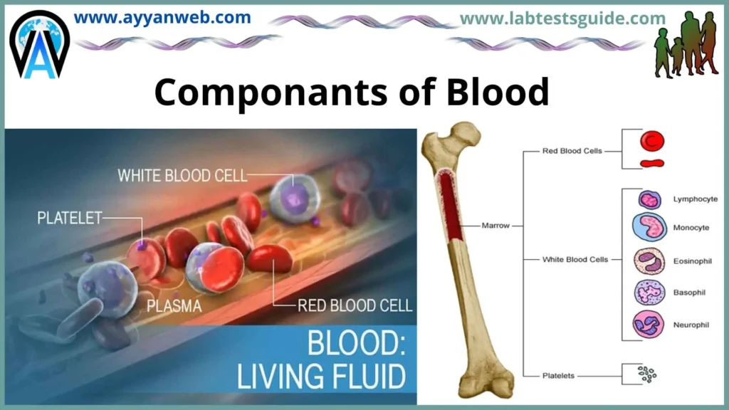 Componants of Blood