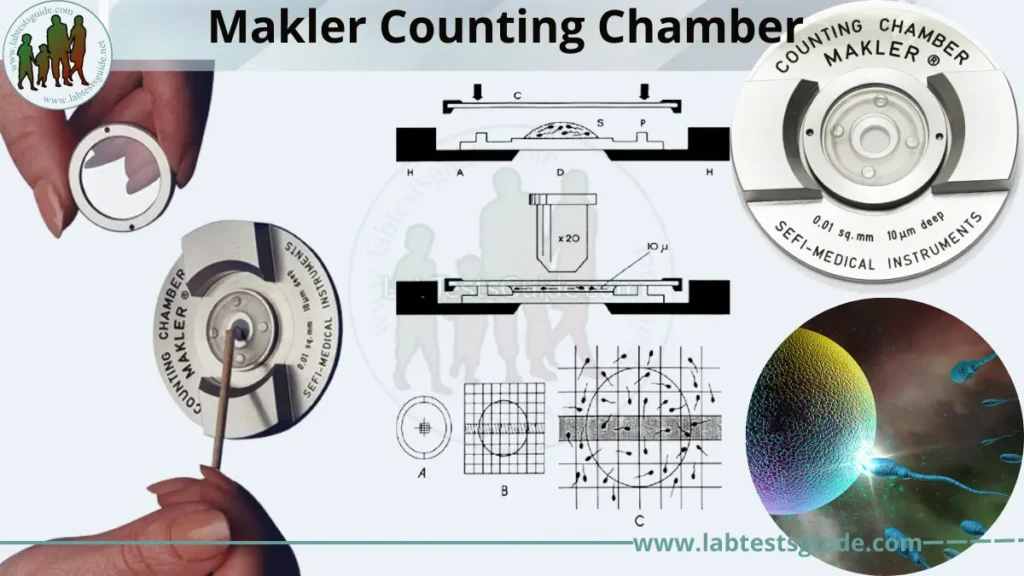 Makler Counting Chamber