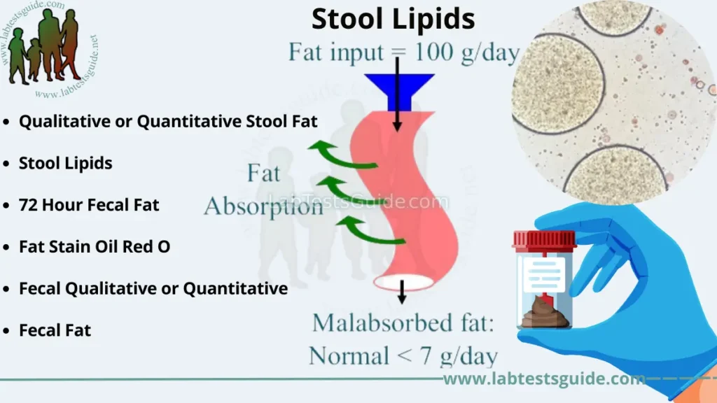 Stool Lipids Test