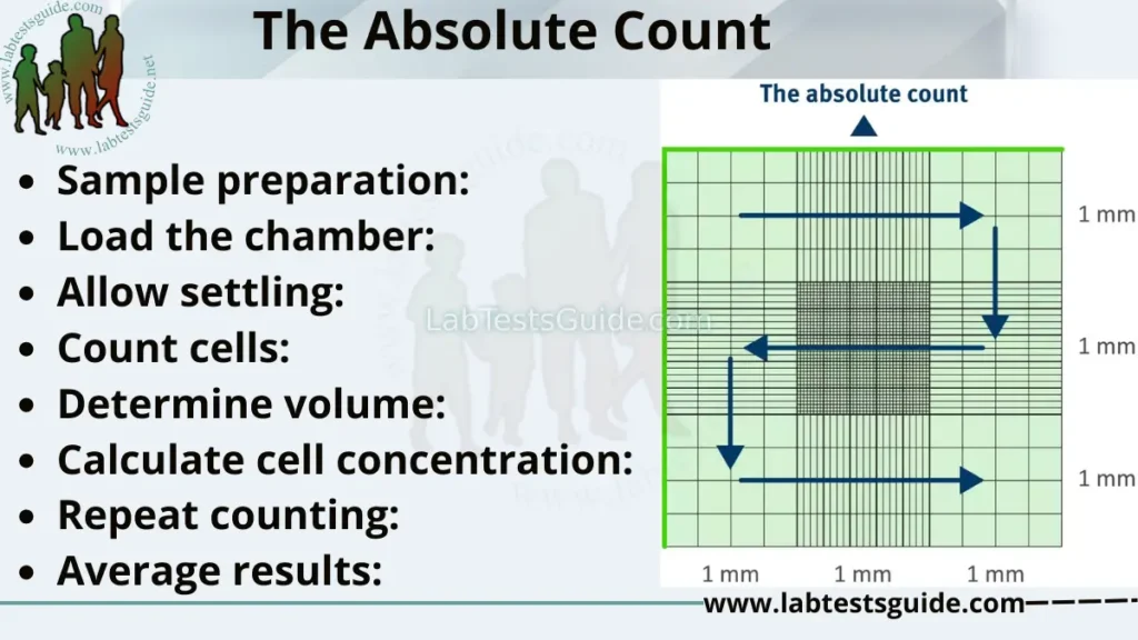 The Absolute Count