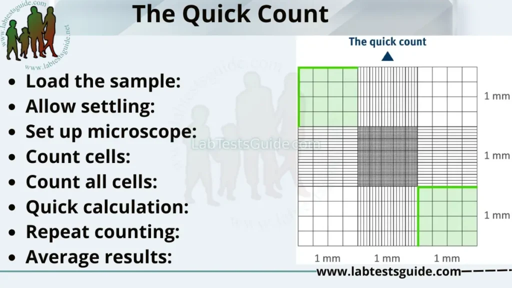 The Quick Count