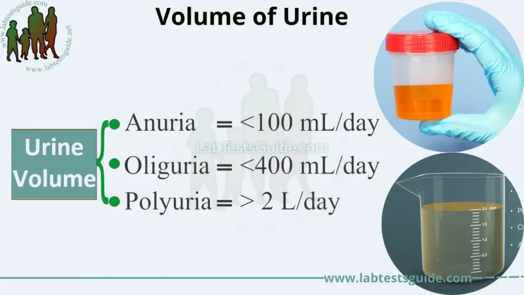 Volume of Urine