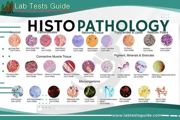 Histopathology