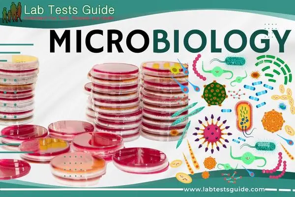 Microbiology