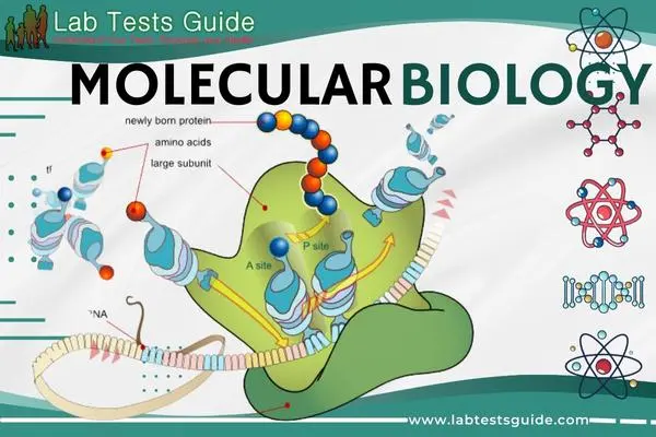 Molecular Biology