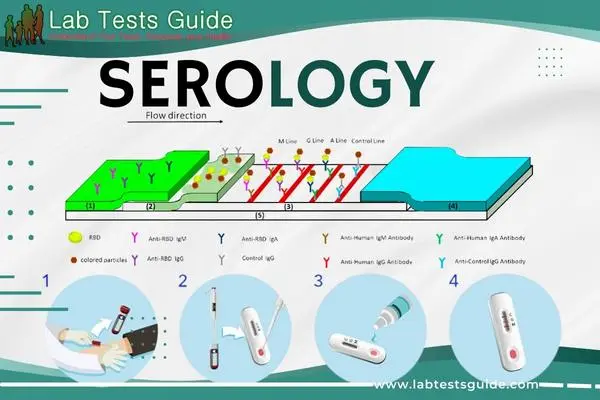 Serology