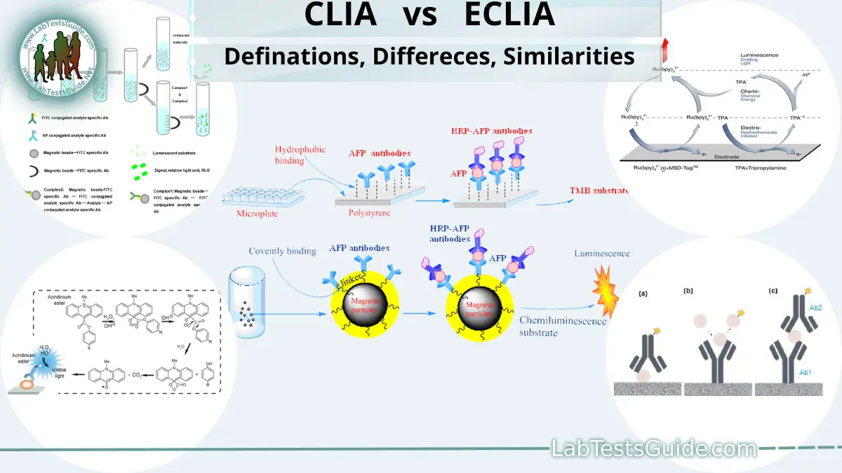 Clia Vs Eclia Definations Comparison Differences Similarities