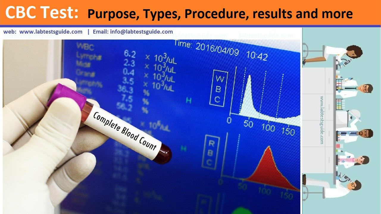 CBC Test Purpose, Types, Procedure, results and more - Lab Tests Guide