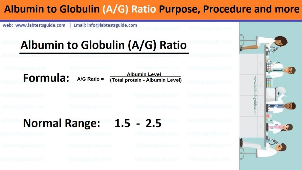 Blood Test Total Protein Normal Range Reference Ranges For Blood 