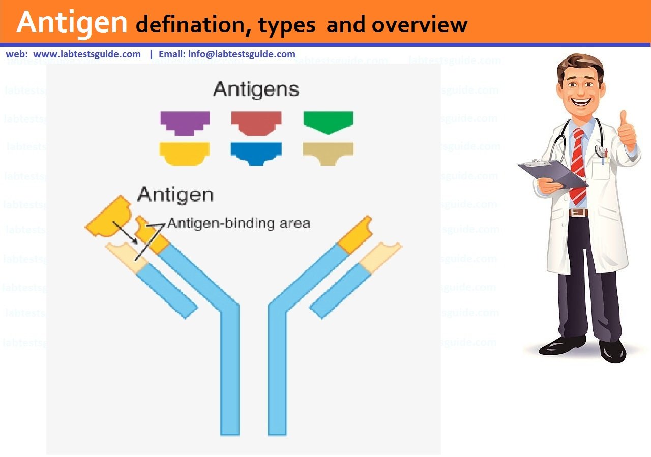 Antigen defination, types and overview Lab Tests Guide