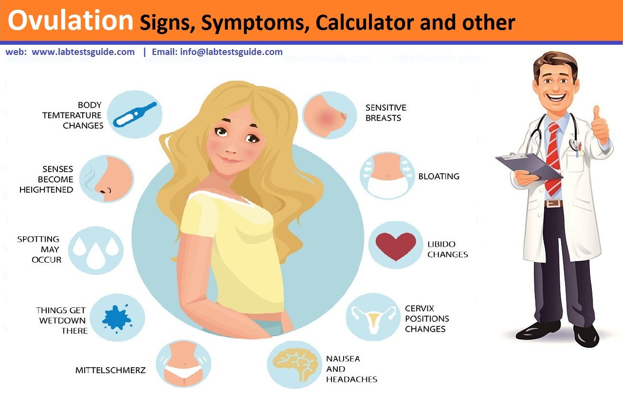 Ovulation Signs Symptoms Calculator and other Lab Tests Guide