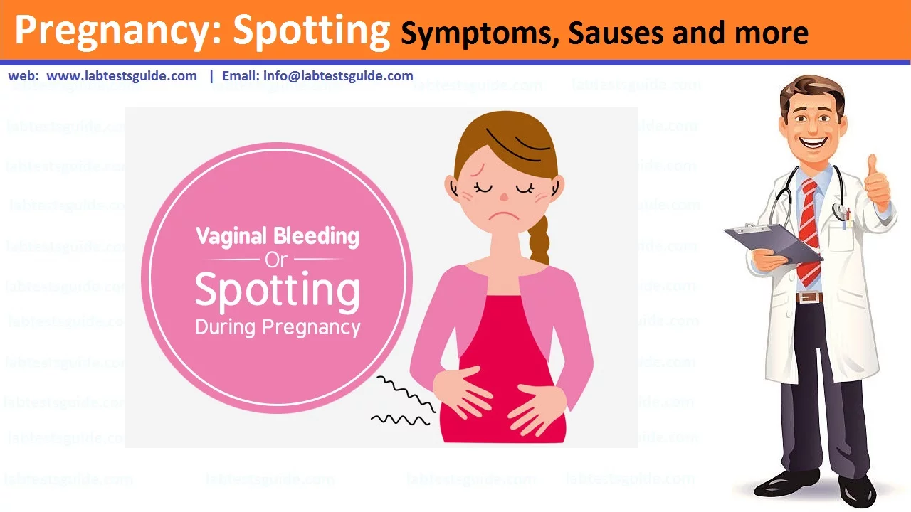 Spotting in Early Pregnancy Causes, Symptoms, and When to Seek Help