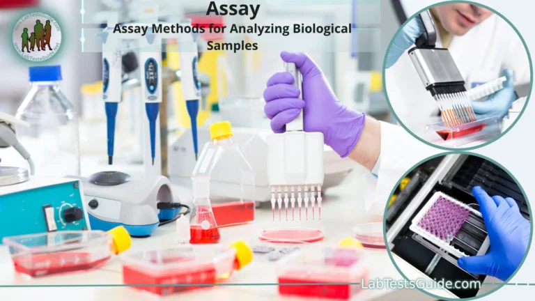 Assay