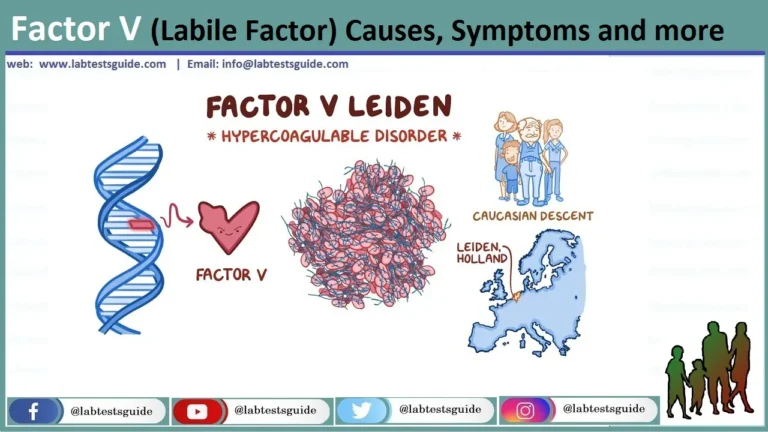 Factor V (Labile Factor)