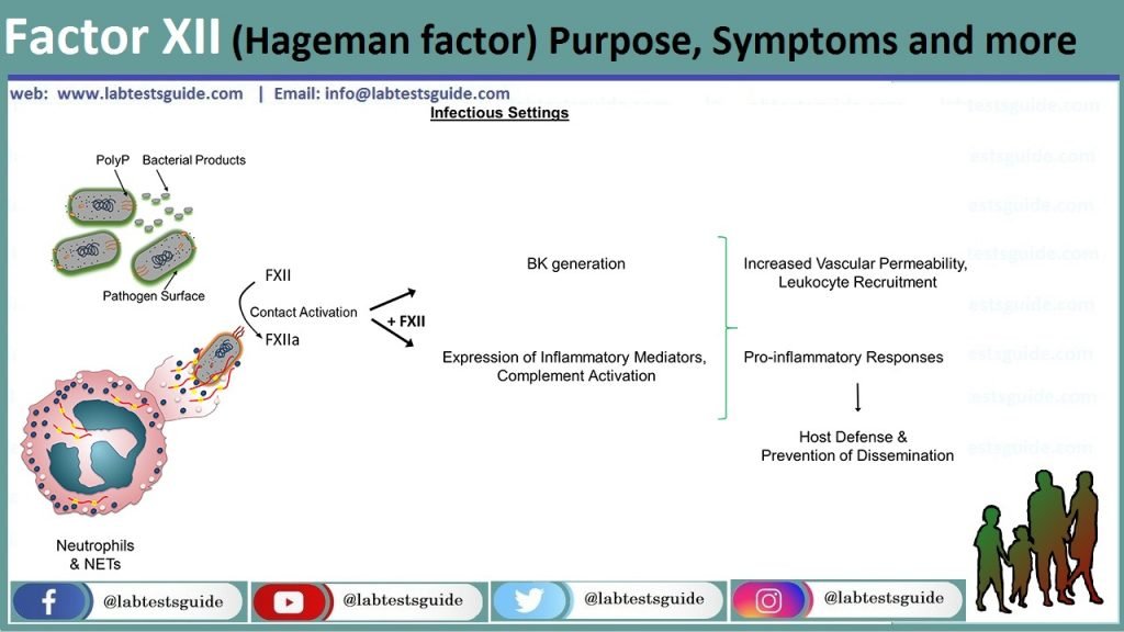 Coagulation Factors Archives Lab Tests Guide