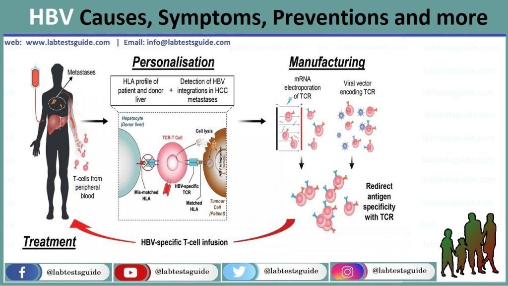 hepatitis-b-symptoms-treatment-causes-what-is-hepatitis-b-std-gov