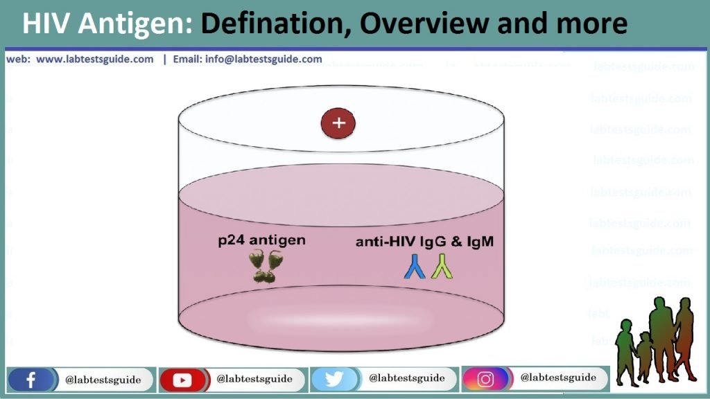 HIV Antigen