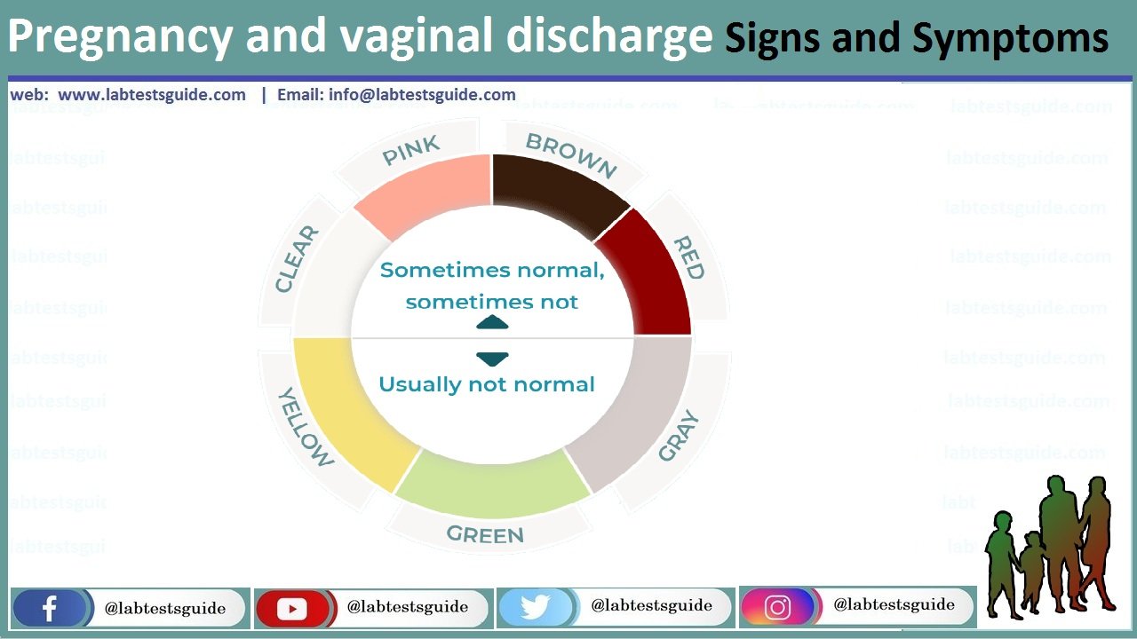 Vaginal Discharge & Pregnancy: What to Know about Vaginal Health Testing