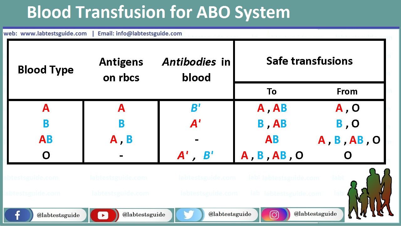ABO Blood Groups And Rh Type Testing Lab Tests Guide