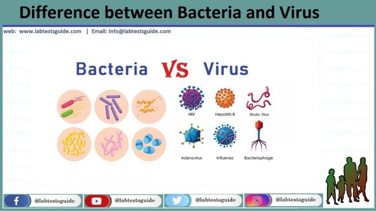 Difference Between Bacteria And Virus - Lab Tests Guide