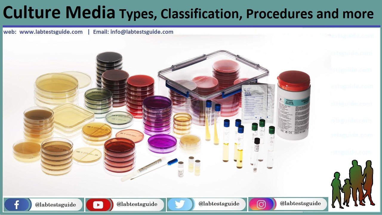 Culture Media Introduction Composition Types And Their Uses Images 