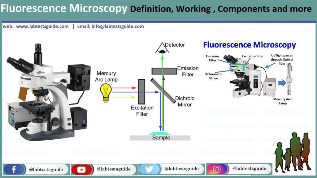 Fluorescence Microscopy Definition, Working , Components And More - Lab ...