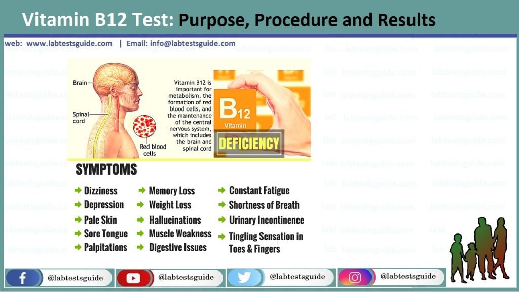 Vitamin B12 Levels Chart