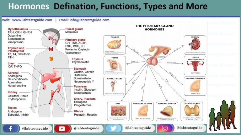 Hormones Defination Functions Types And More Lab Tests Guide 4963