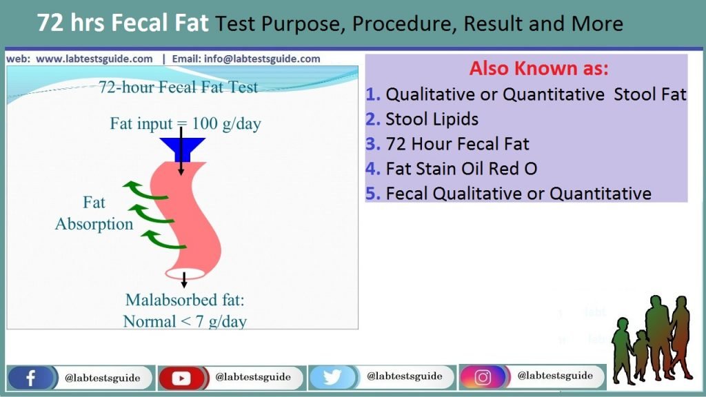 fecal-fat-test-purpose-procedure-result-and-more-lab-tests-guide