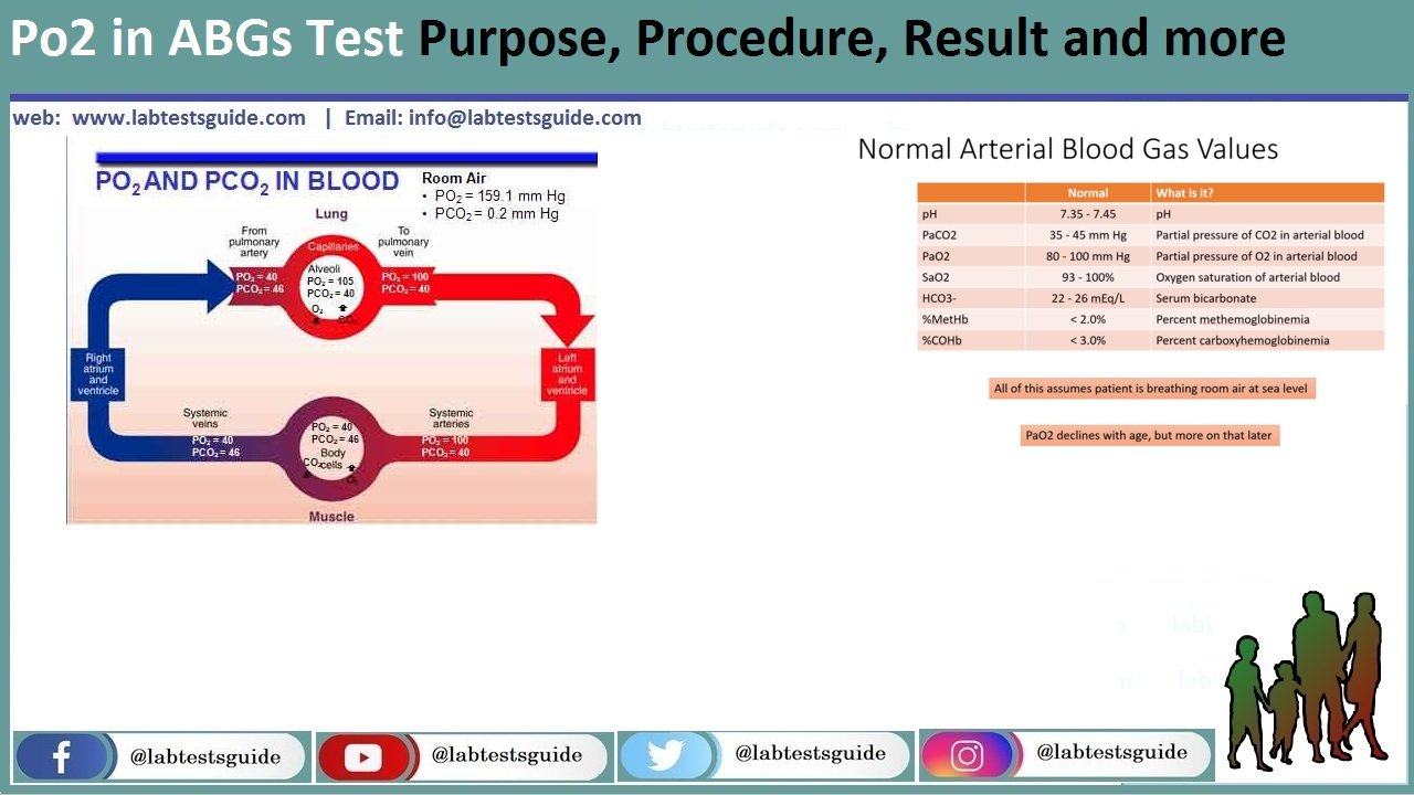 po2-test-purpose-procedure-result-and-more-lab-tests-guide