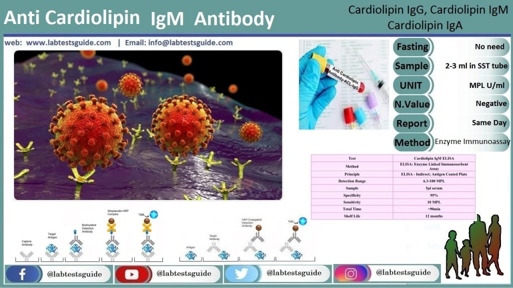 Igm positiva que significa