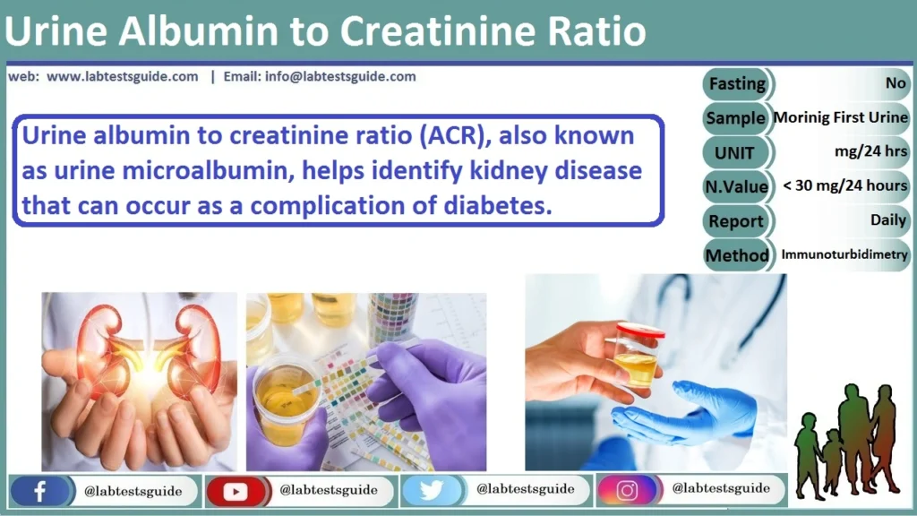 Urine for Albumin to Creatinine Ratio