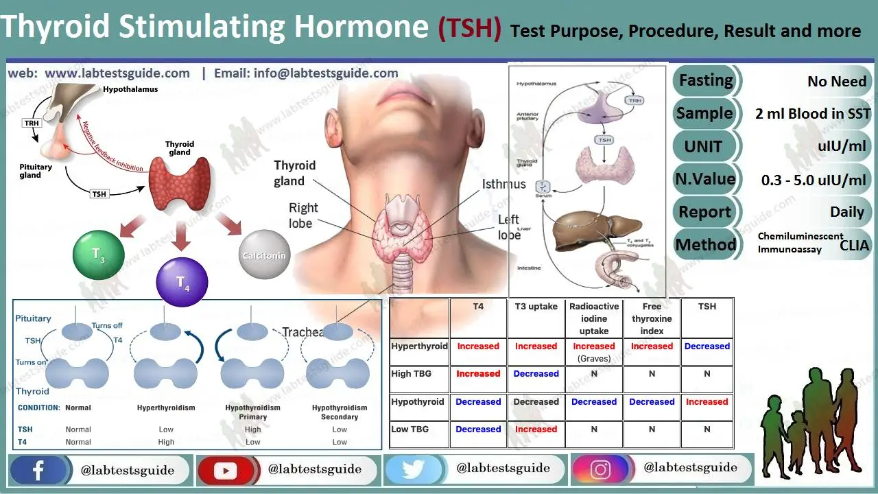 abnormally-high-tsh-normal-t3-and-what-does-it-mean-and-46-off