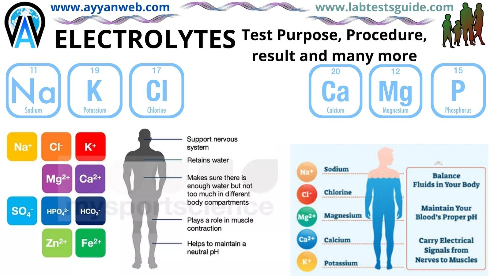  post titleTest Purpose Procedure Results And More LTG