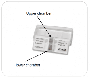 Neubauer Chamber Uses, Procedures, Calculations And More| LTG