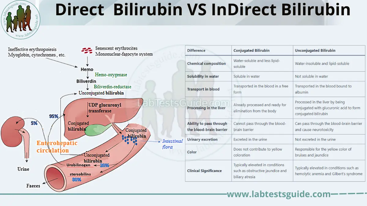 frontiers-effect-of-direct-bilirubin-level-on-clinical-outcome-and