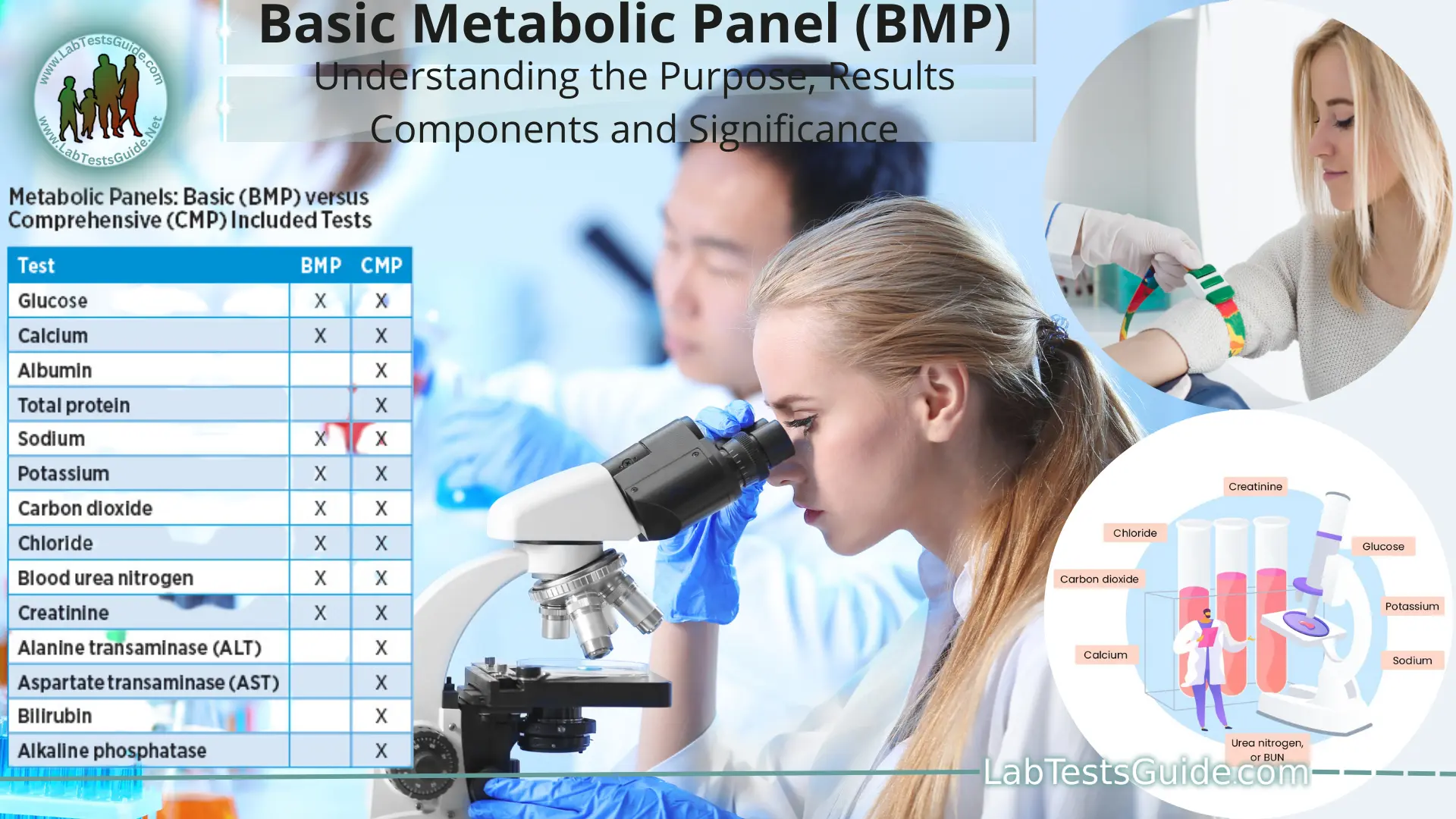 Understanding The Basic Metabolic Panel BMP Components And Significance