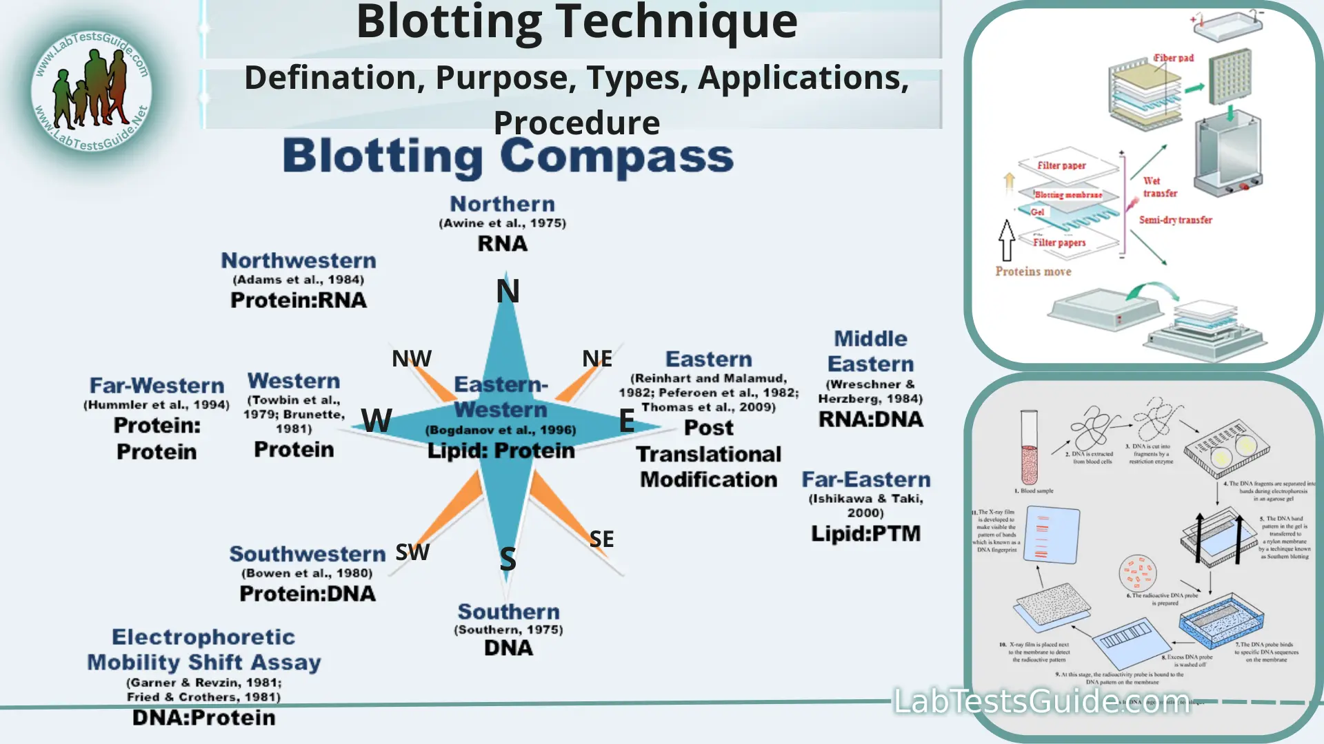 blotting-technique-defination-purpose-types-applications-procedure