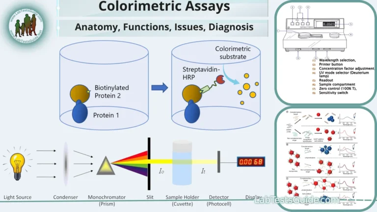 Far Western Blotting Purpose Principles Procedure Result