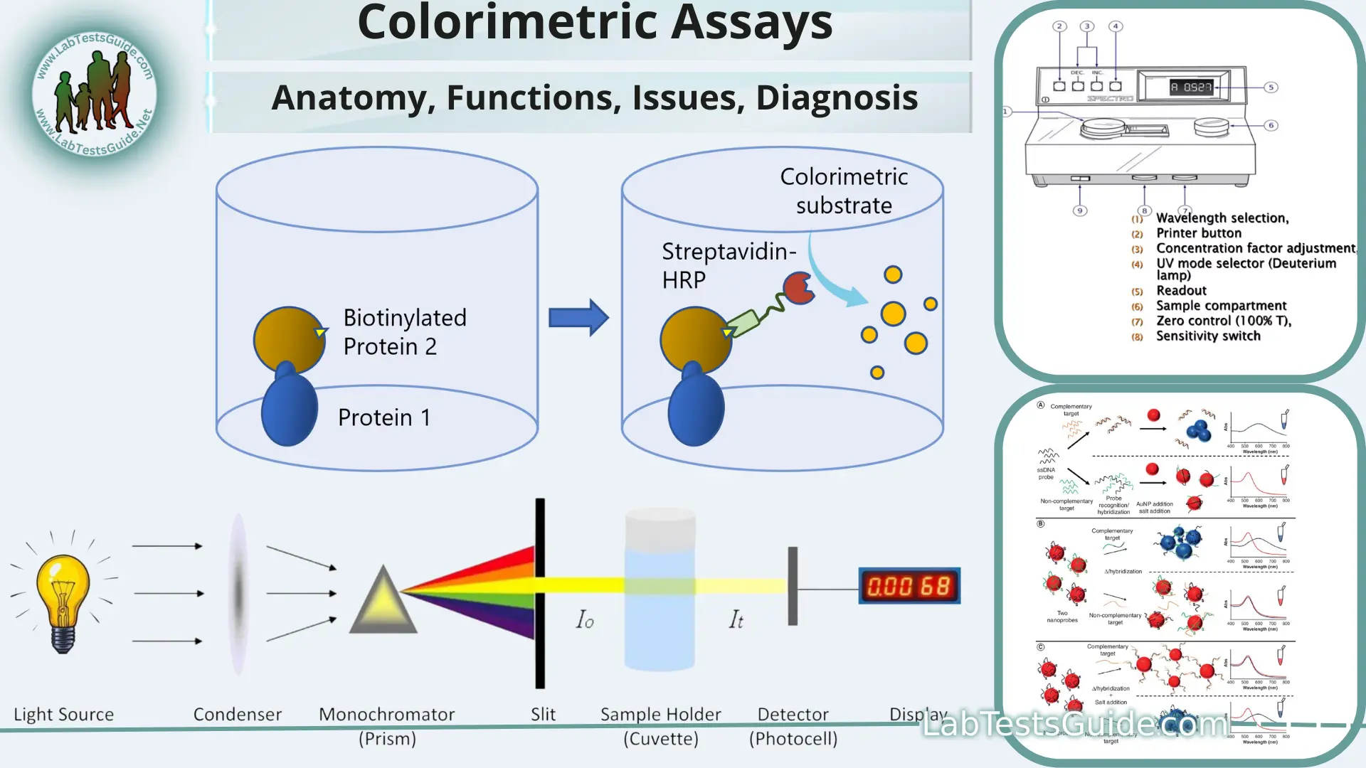 Colorimetric Assays: Defination, Applications, Procedures, Types And More