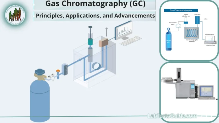 Gas Chromatography (GC)