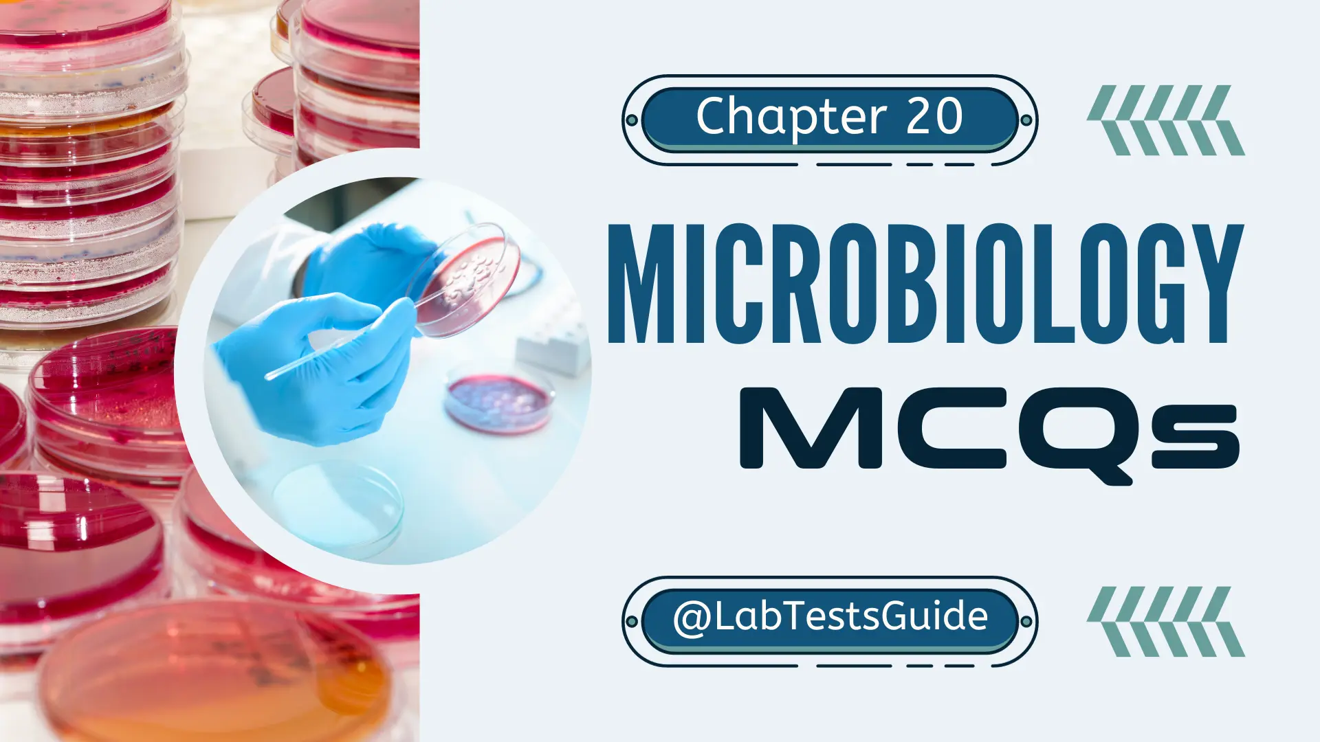 MicroBiology MCQs with Answer and Explnation | Chapter 20 | Lab Tests Guide