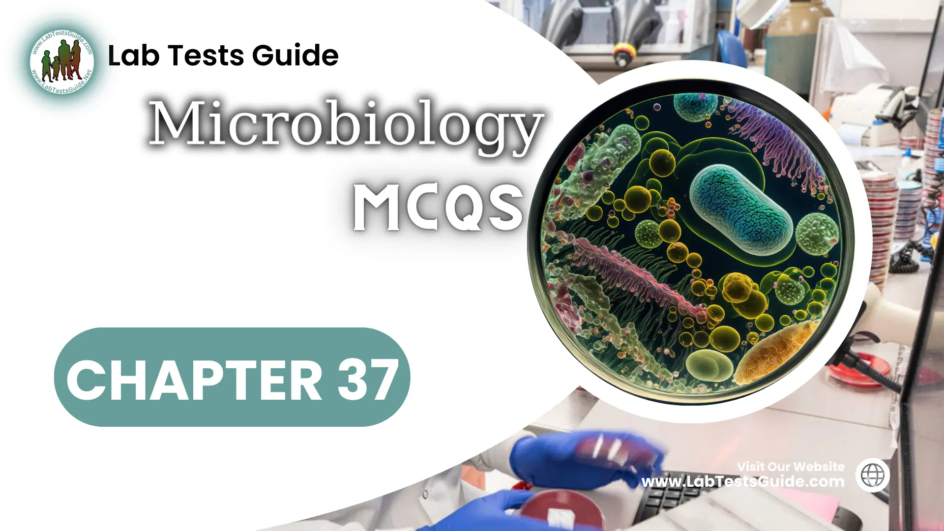 MicroBiology MCQs With Answer And Explnation | Chapter 37 | Lab Tests Guide