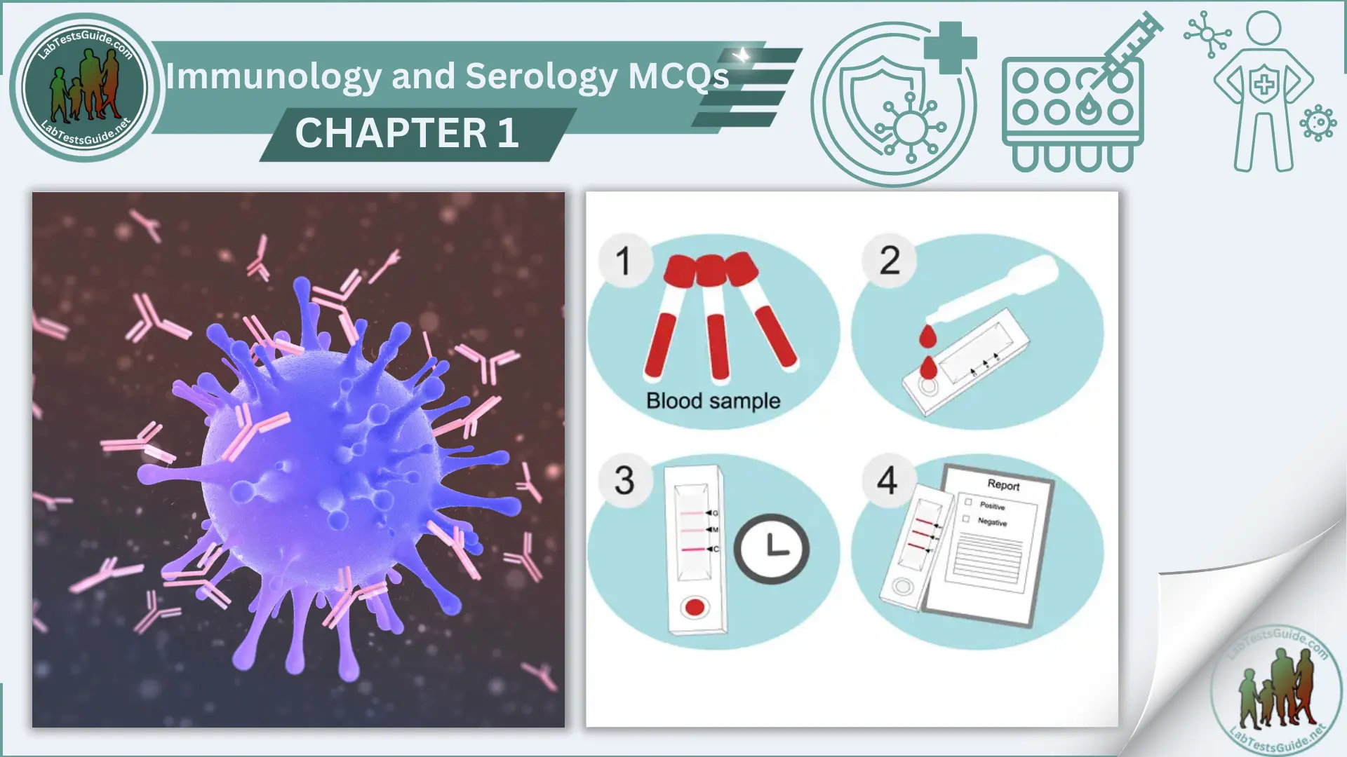 Immunology And Serology MCQs With Answer And Explanations | Chapter 1 ...