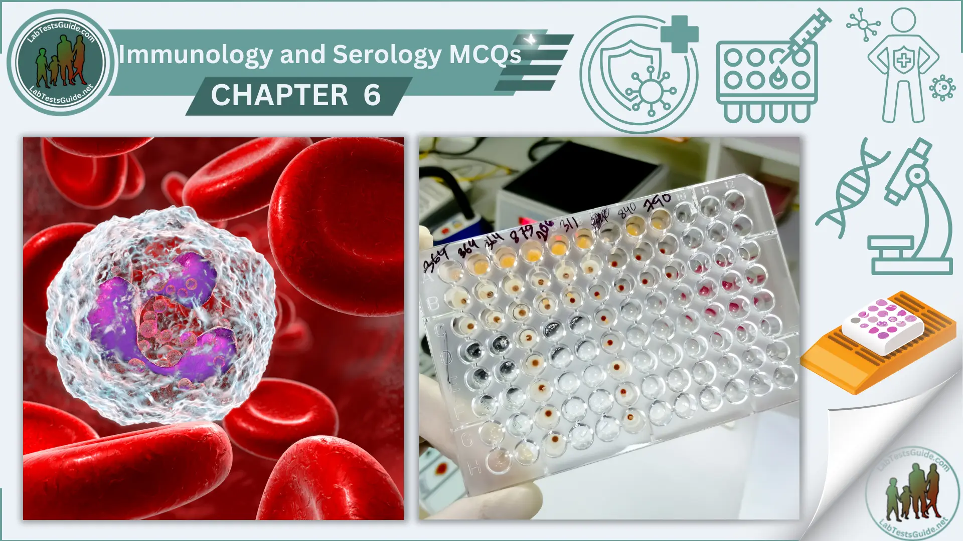 Immunology and Serology MCQs with Answer and Explanations | Chapter 6 ...