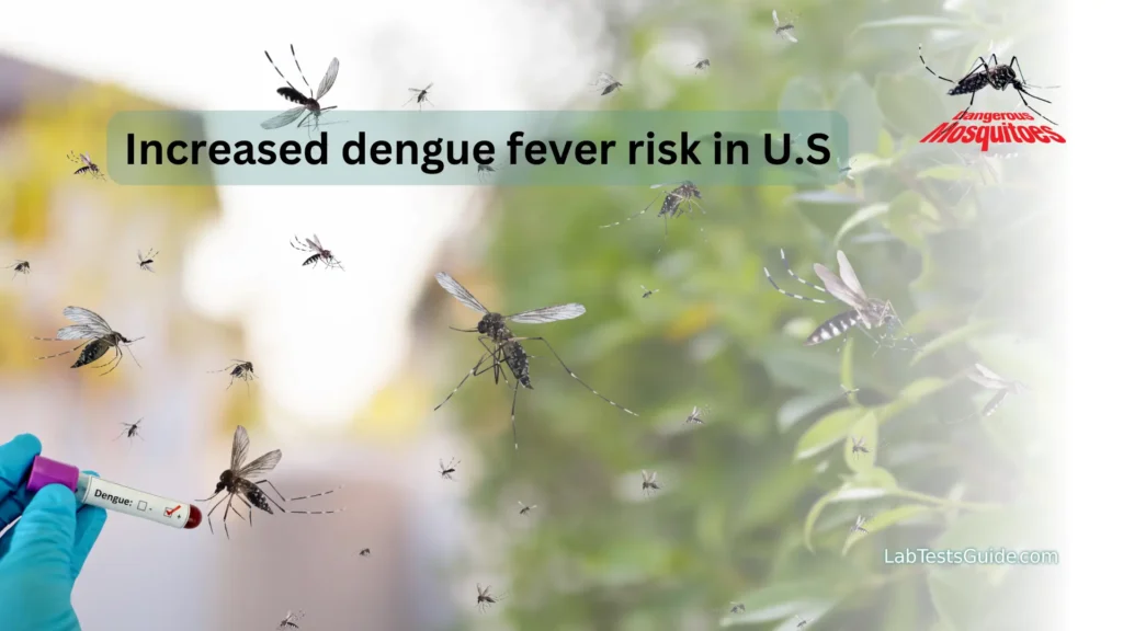 CDC Issues Advisory On Rising Dengue Virus Infections In The United ...